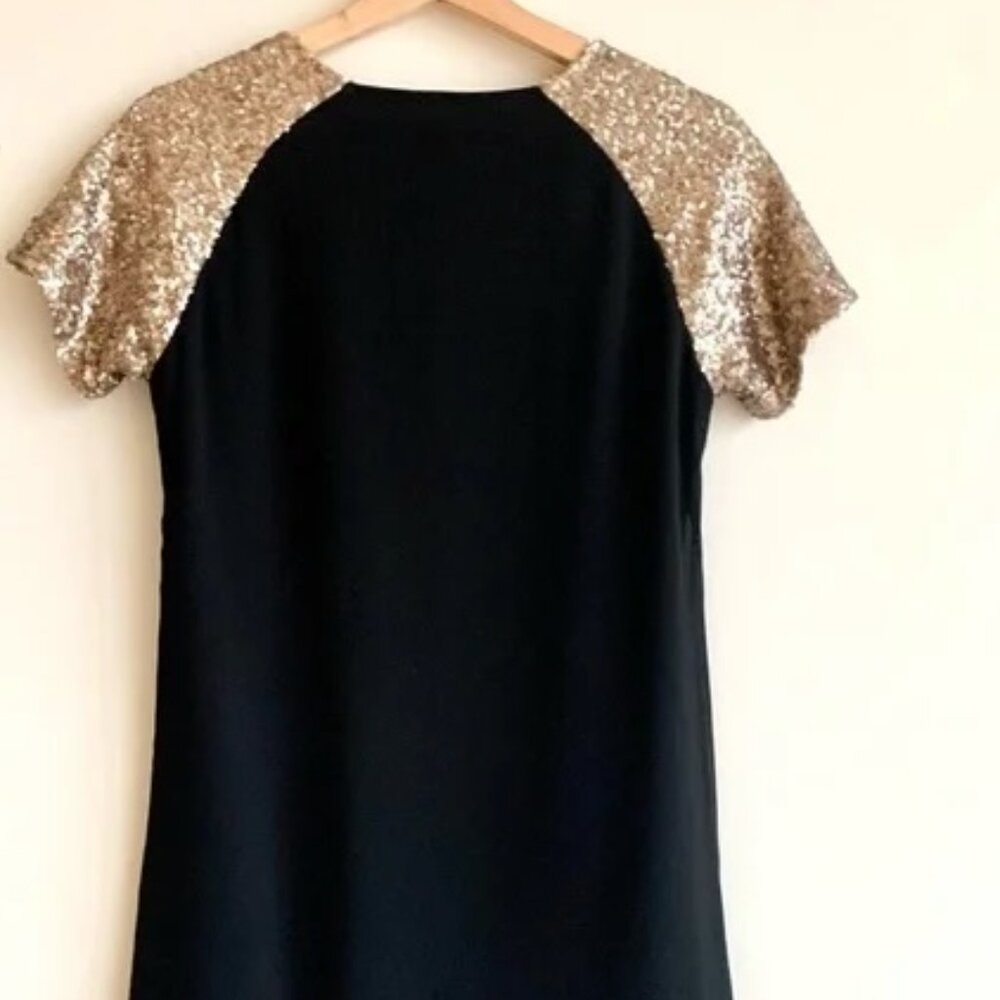 TOBI Chiffon Sequin Shift Dress